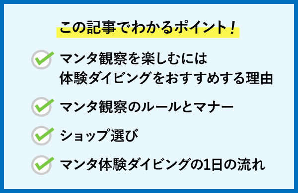 マンタ観察を楽しむには体験ダイビングがおすすめ