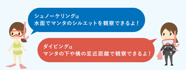 マンタはシュノーケリングよりダイビング