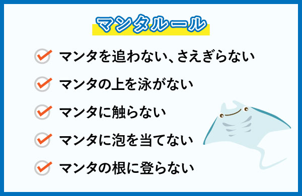 マンタ観察ルール